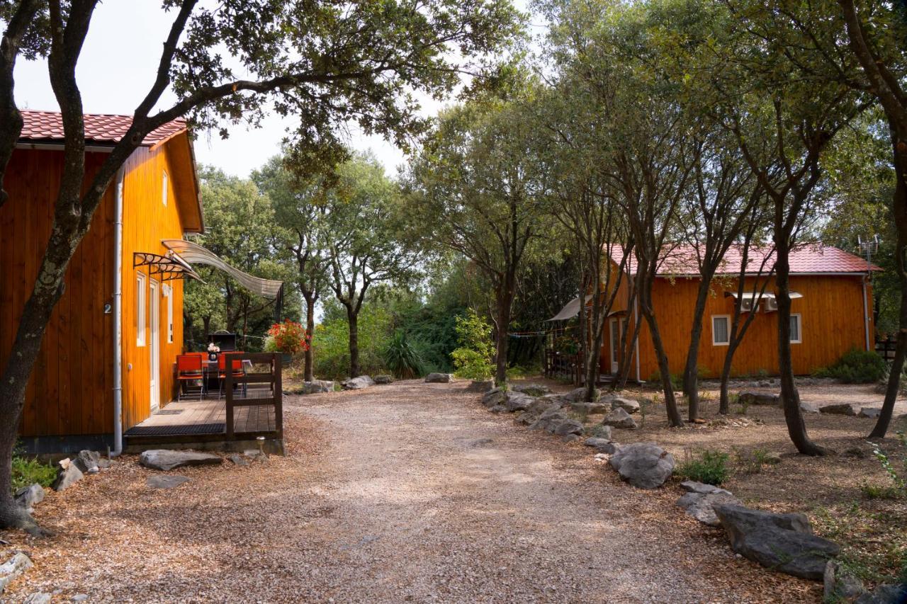 Gites De Plos Appart Chalet Piscine Spa 앙뒤즈 외부 사진