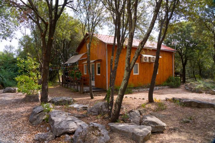 Gites De Plos Appart Chalet Piscine Spa 앙뒤즈 외부 사진